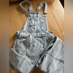 Zara Wide Leg Overall Pant